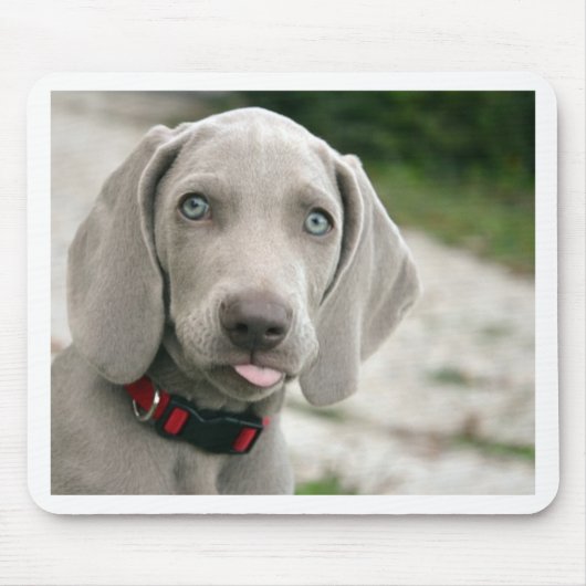 Dog sticker tong uit muismat (Voorkant)