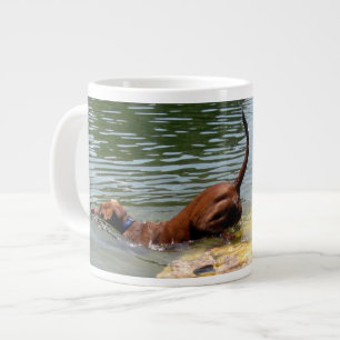 Dog Swimming Ladybird Lake - Downtown Austin Texas Grote Koffiekop