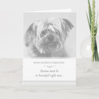 Dog Sympathiakaart - De hemel moet prachtig zijn Kaart