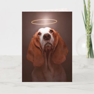 Dog Sympathie—Basset Hound Sympathcard Kaart