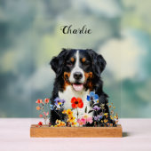 Dog Sympathy Memorial Bereavement Gift (Neutre)