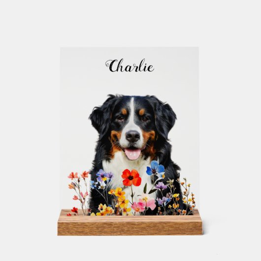 Dog Sympathy Memorial Bereavement Gift (Recto)