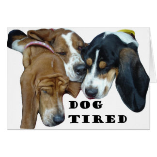 Dog Tired