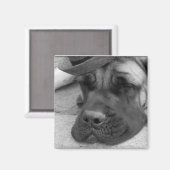 Dog Tired Magneet (Voorkant / Achterkant)