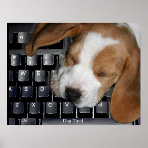 Dog Tired Poster