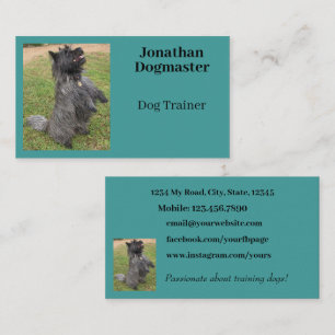 Dog Trainer Aqua Blue Blauwgroen Photo Minimal Visitekaartje