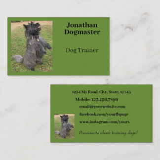 Dog Trainer Foto Green Background Minimal Visitekaartje