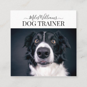 Dog Trainer of Gedragist Vierkante Visitekaartje