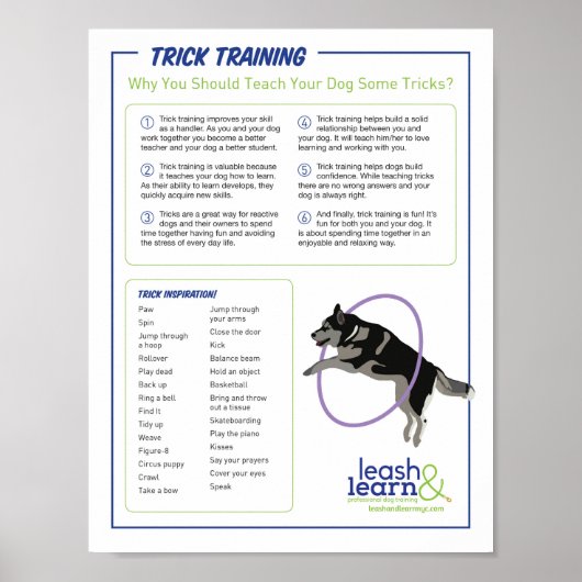 Dog Trick Training Poster (Voorkant)