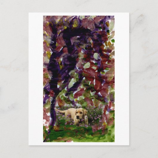 Dog van een ander briefkaart (Voorkant)