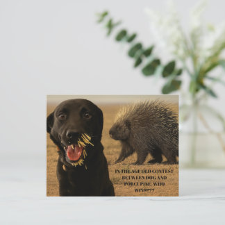 Dog vs. Porcupine Card Notitiekaartje