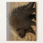 Dog vs. Porcupine Notebook (Dos)