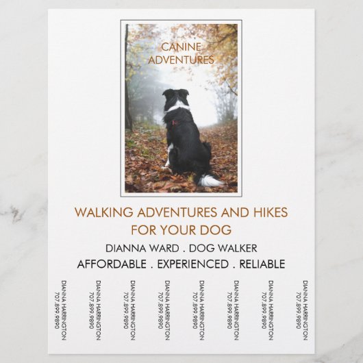 Dog Walker Adventure loopt en wieken Flyer (Voorkant)