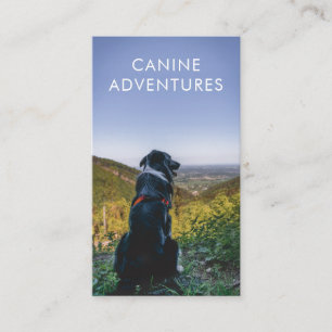 Dog Walker Adventure loopt en wieken Visitekaartje