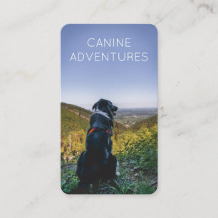 Dog Walker Adventure loopt en wiekt Visitekaartje