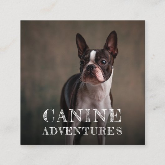 Dog Walker en Dog Adventures Square Visitekaartje (Voorkant)