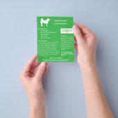 Dog Walker & Pet Sitter Green Flyer (Hand)