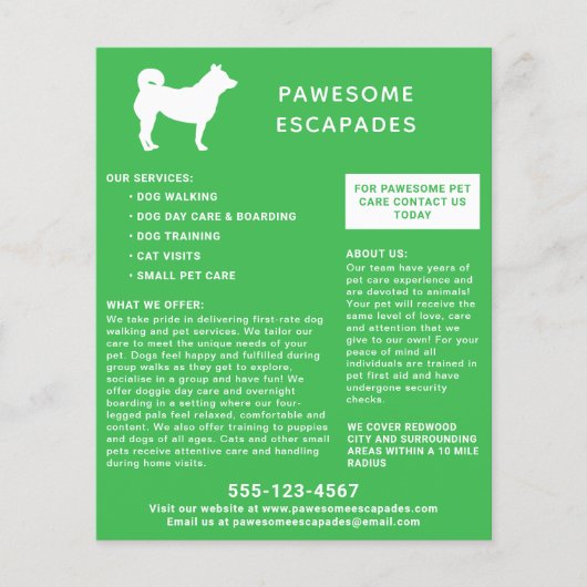 Dog Walker & Pet Sitter Green Flyer (Voorkant)