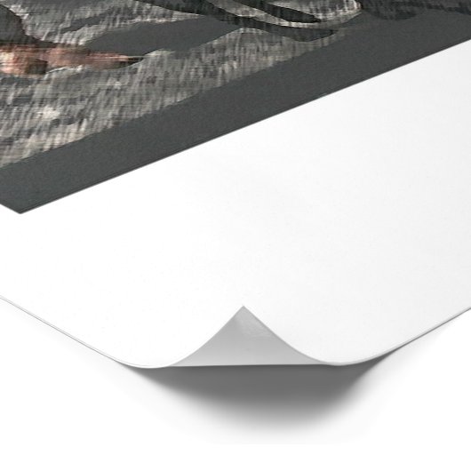 Dog Walker Poster (Hoek)