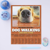 Dog Walking Custom Flyer (Enkel)