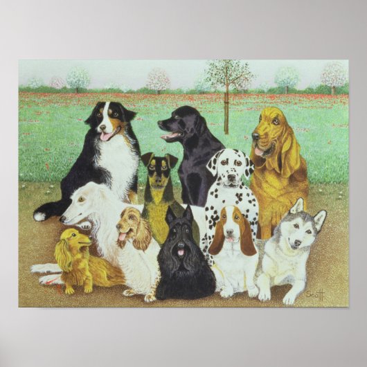 Dog Watch Poster (Voorkant)