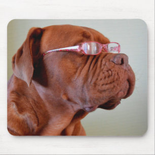 Dog Wearing Pink Eyeglasses Muismat