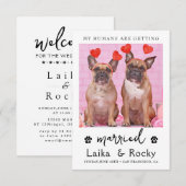 Dog Wedding Invitation (Devant / Derrière)