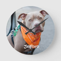 Dog with Bandana