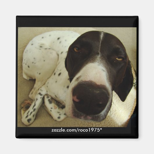 Dog Years Magneet (Voorkant)