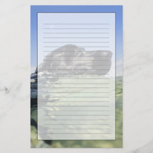 Dog zwemmen in water briefpapier