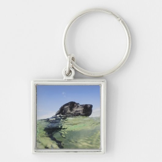 Dog zwemmen in water sleutelhanger (Voorkant)