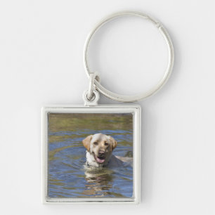 Dog-zwemmen Sleutelhanger
