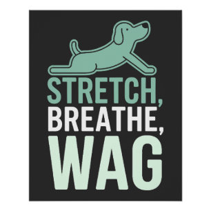 Doga Honden Yoga Huisdier Welzijn Mindful Rekken Perfect Poster