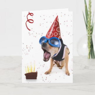 dogcake kaart