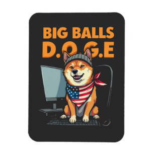 Doge afdeling van de overheid Efficiëntie Magneet