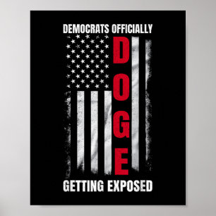 Doge Democraten krijgen officieel onthuld _5 Poster