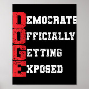 Doge Democraten officieel ontmaskerd - 2 Poster