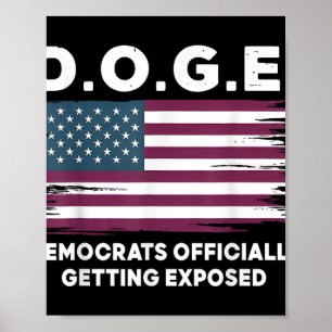Doge Democraten officieel ontmaskerd 3 Poster