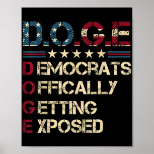 Doge Department of Government Efficiency U Poster