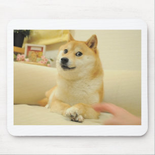 Doge Muismat