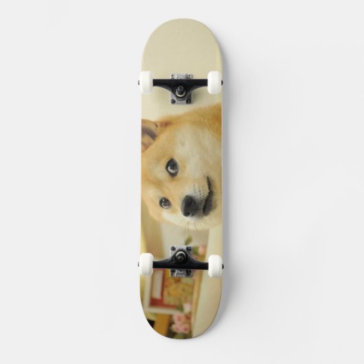 Doge skateboard (Voorkant)