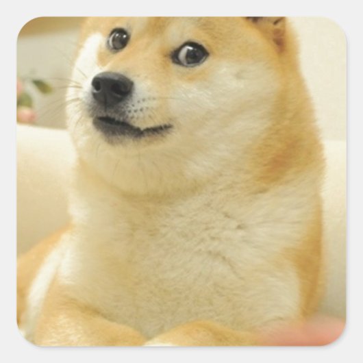 Doge Vierkante Sticker (Voorkant)