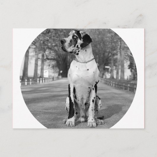 Doggenhaus Briefkaart (Voorkant)