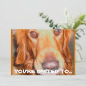 DOGGIE ANNIVERSAIRE INVITATIONS (Debout devant)