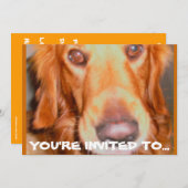 DOGGIE ANNIVERSAIRE INVITATIONS (Devant / Derrière)