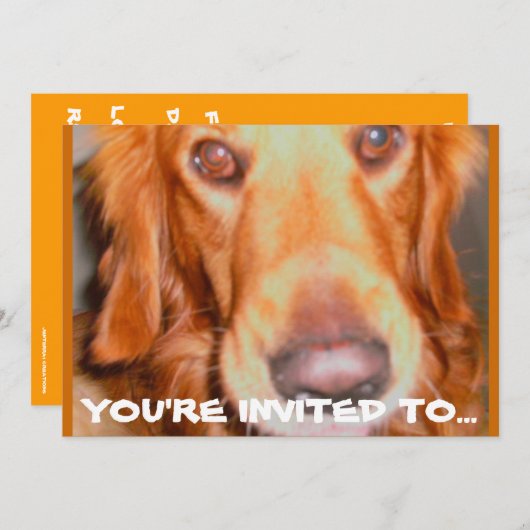 DOGGIE ANNIVERSAIRE INVITATIONS (Devant / Derrière)