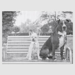 Doggie bruiloft tissuepapier