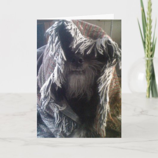 DOGGIE IN BLANKETS ZEGT: "PEEK-A-BOO" MIST U KAART (Voorkant)