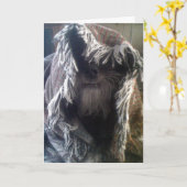 DOGGIE IN BLANKETS ZEGT: "PEEK-A-BOO" MIST U KAART (Gele Bloem)