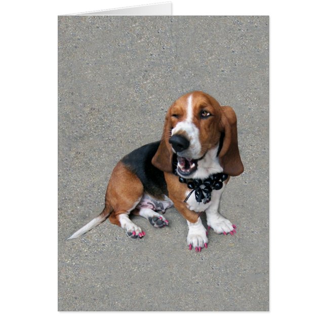 Doggo Cute (Voorkant)